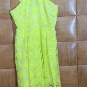 Cremieux brand new dress with tags